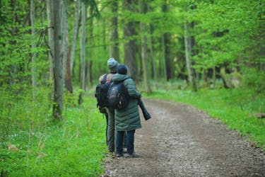 Small-group tour to Bialowieza National Park from Warsaw